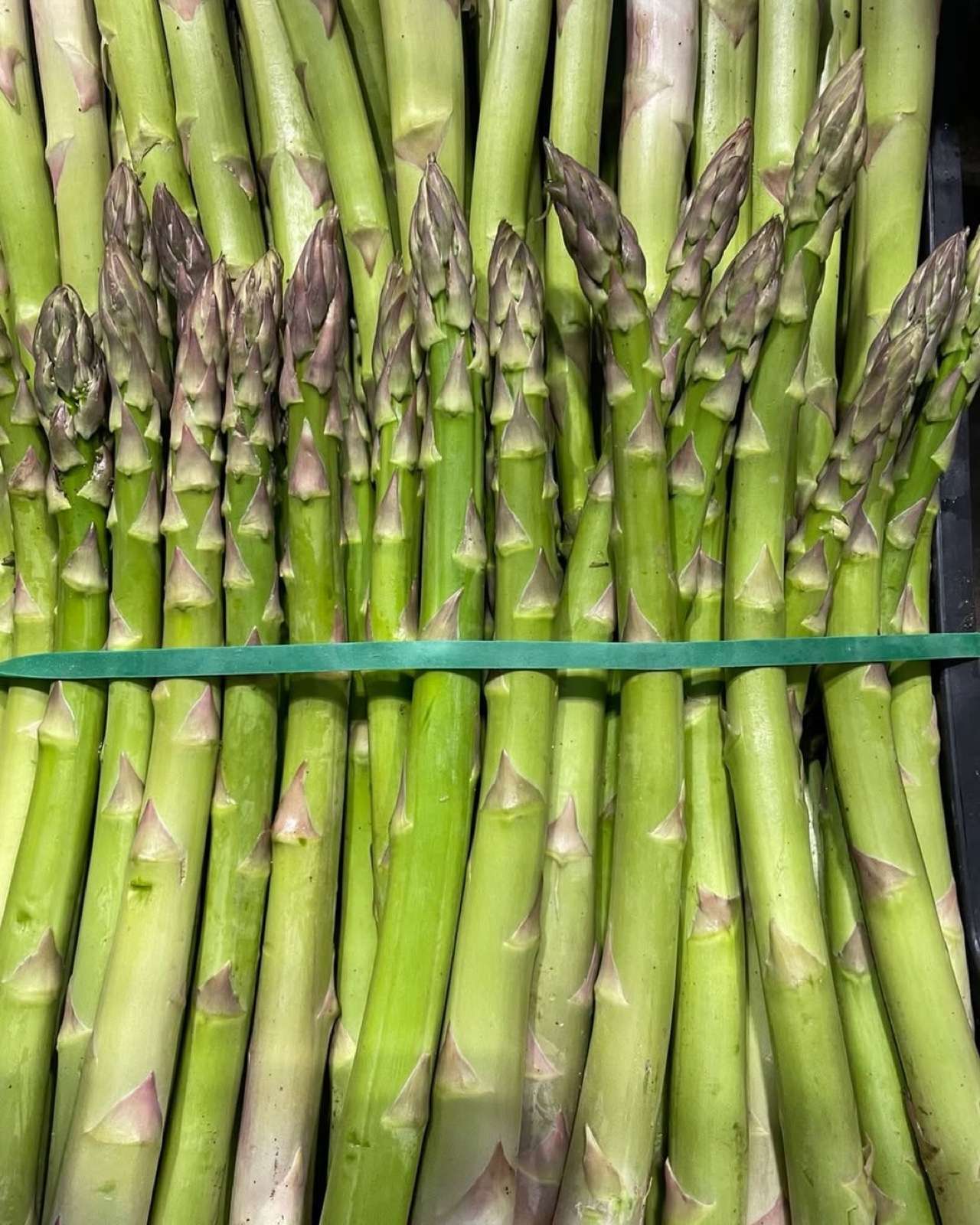 Mazzi di asparagi verdi
