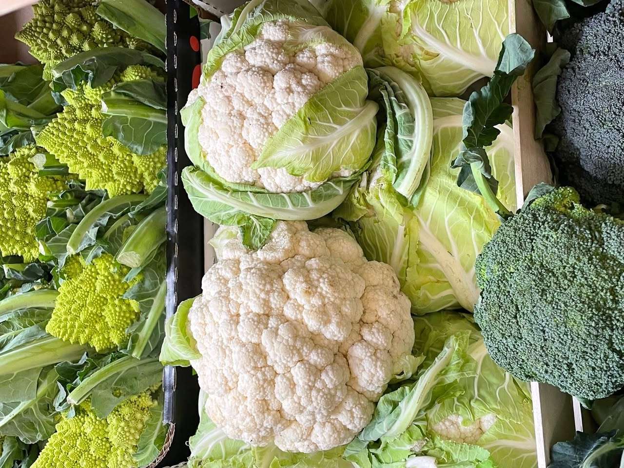 Cavolfiori bianchi tra cavolo romanesco e broccoli