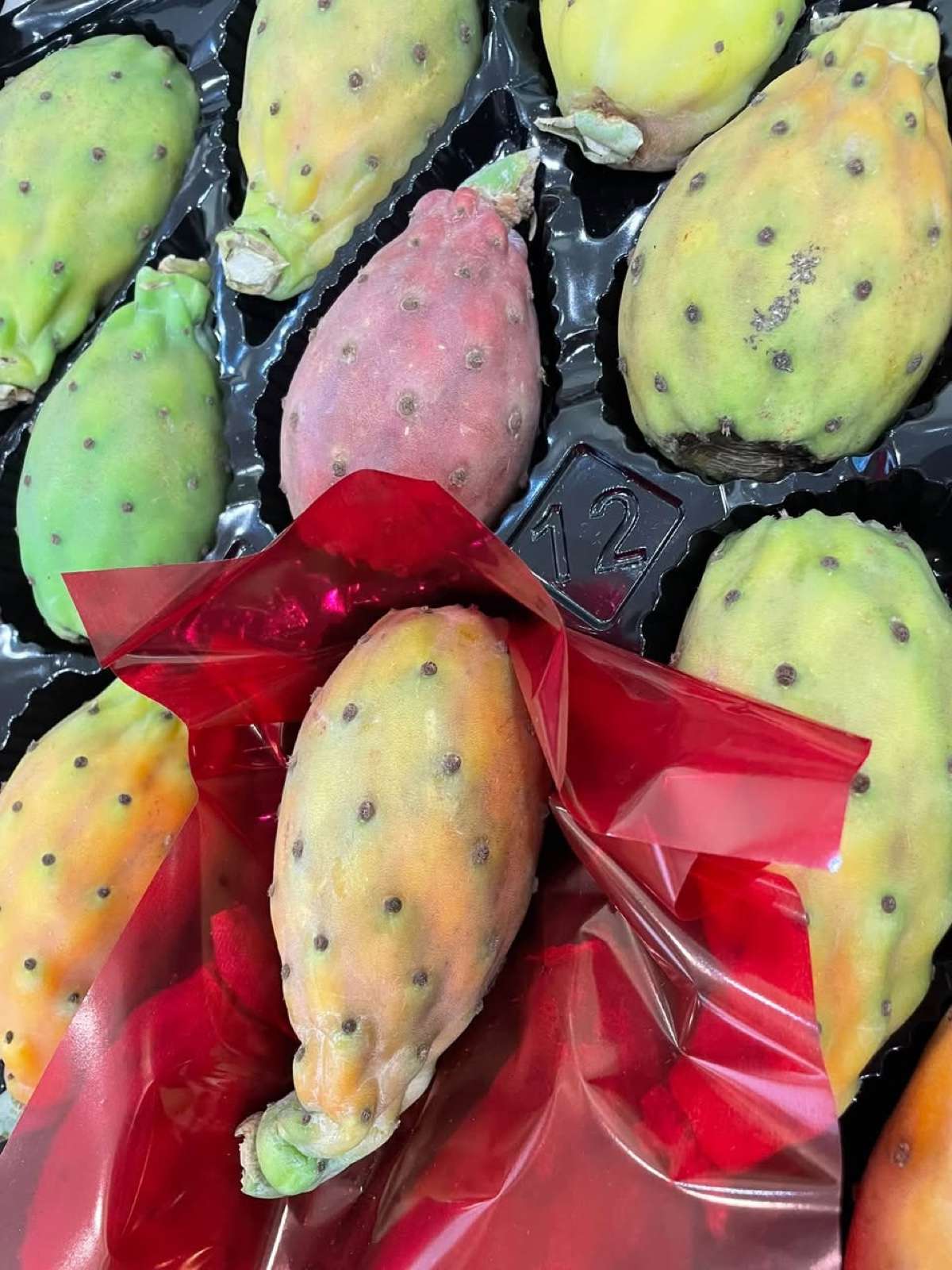 Fichi d'India