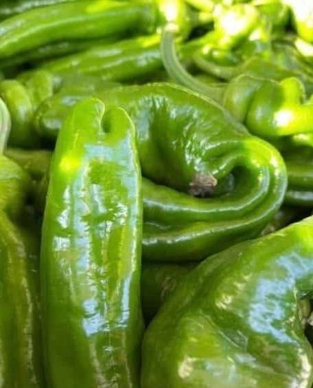 Peperoni verdi lunghi