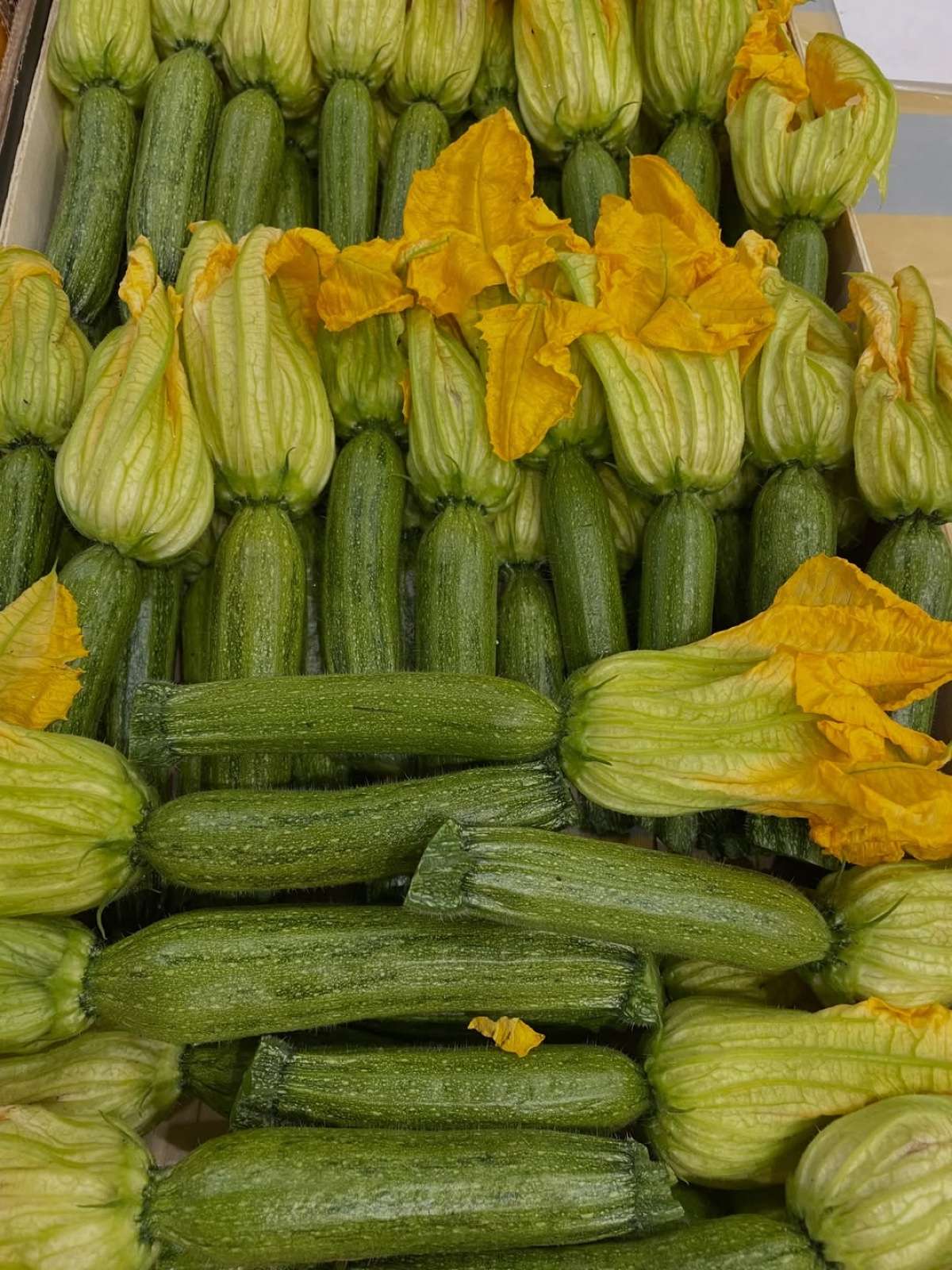 Zucchine fresche con il fiore