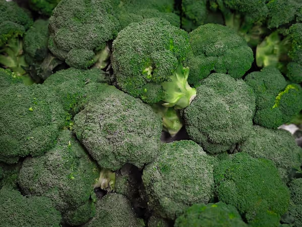 Broccoli