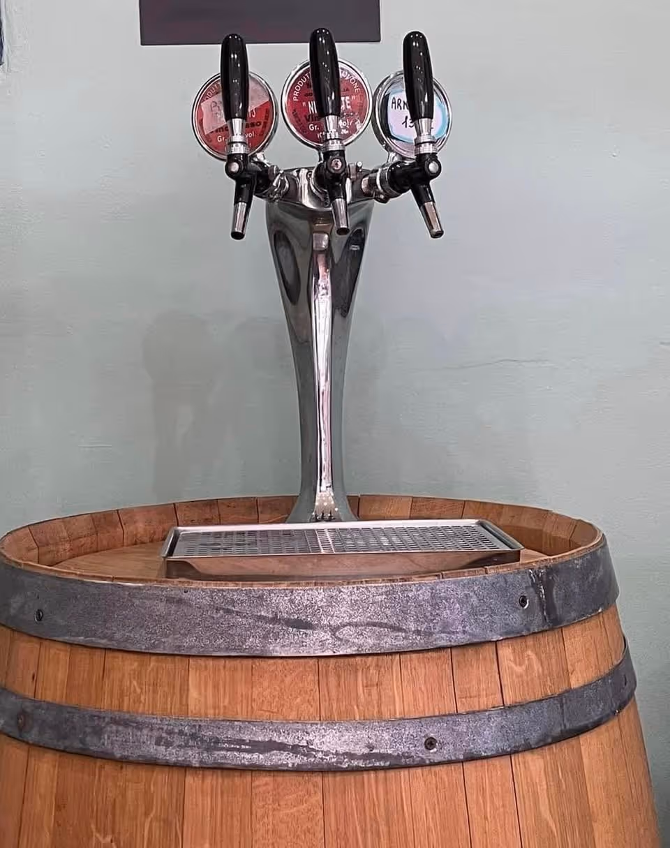 Vini sfusi